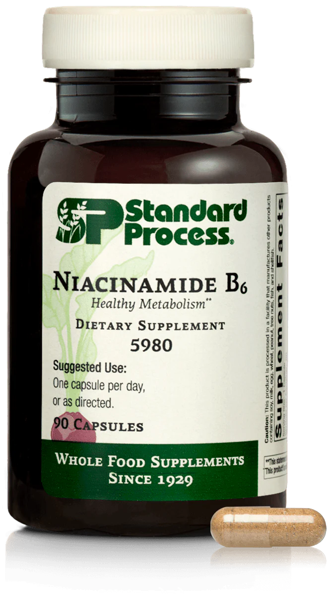Niacinamide B6 90ct