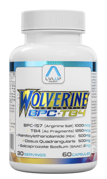 Wolverine by LVLUP