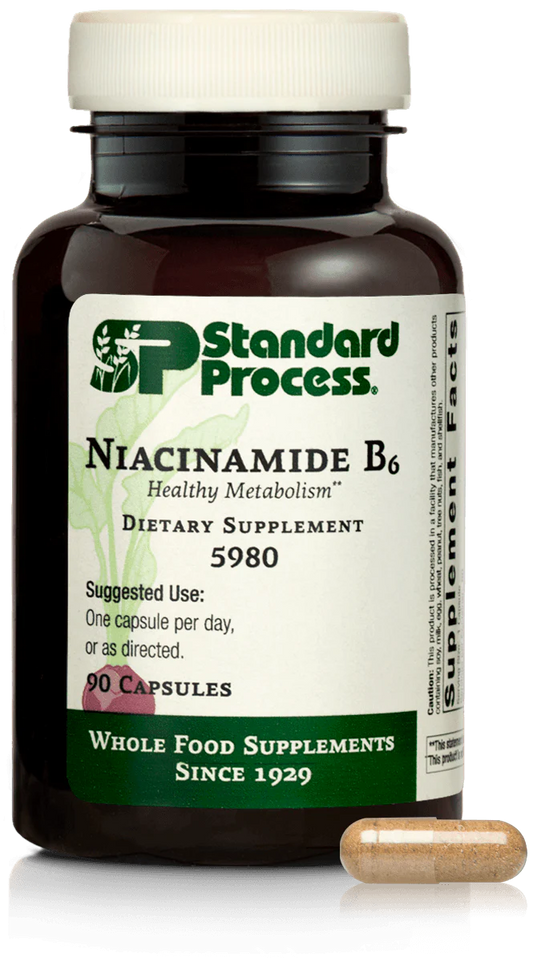 Niacinamide B6 90ct